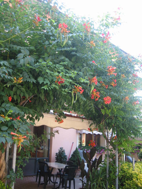 Albergo Ristorante Sterlina Grizzana Rum bild